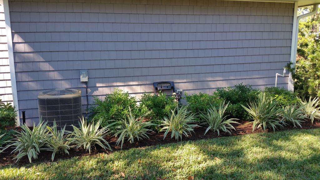 Low Maint. Bed Design