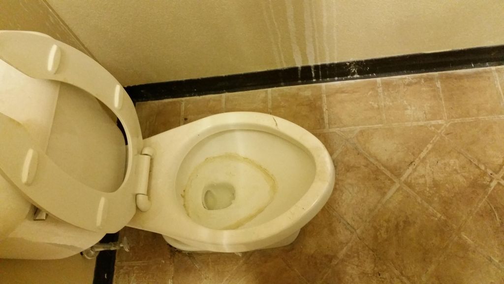 toilet before cleaning
