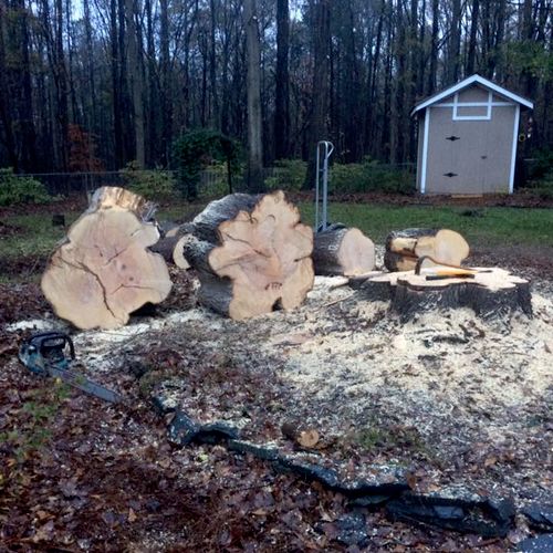 Storm clean up in Simpsonville
