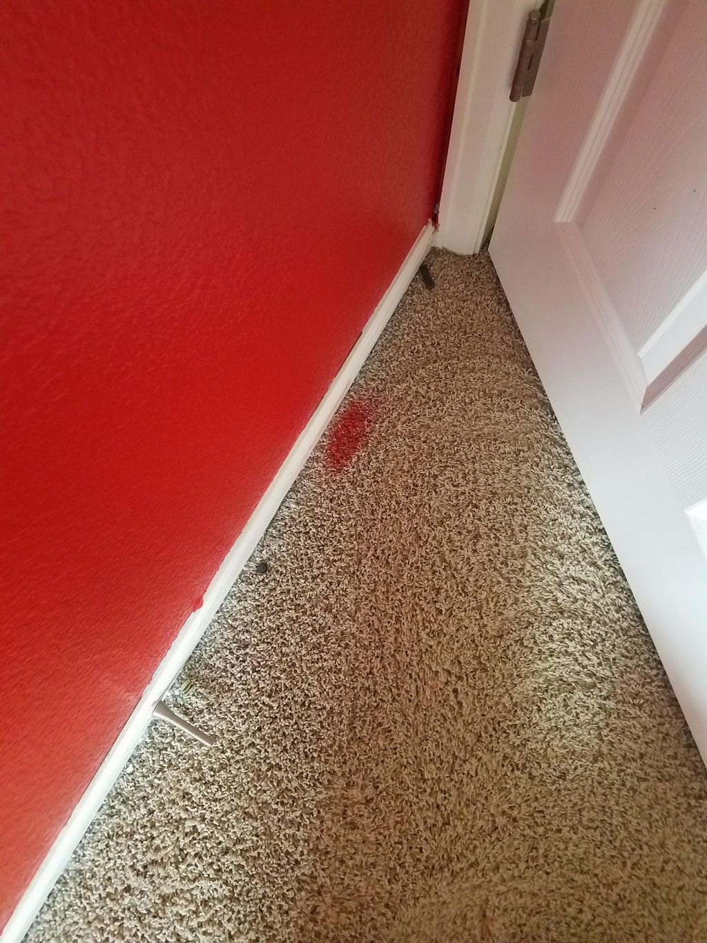 Red paint on carpet
