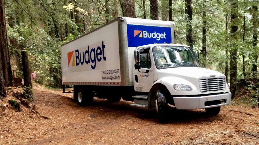 The Woods in La Honda CA.