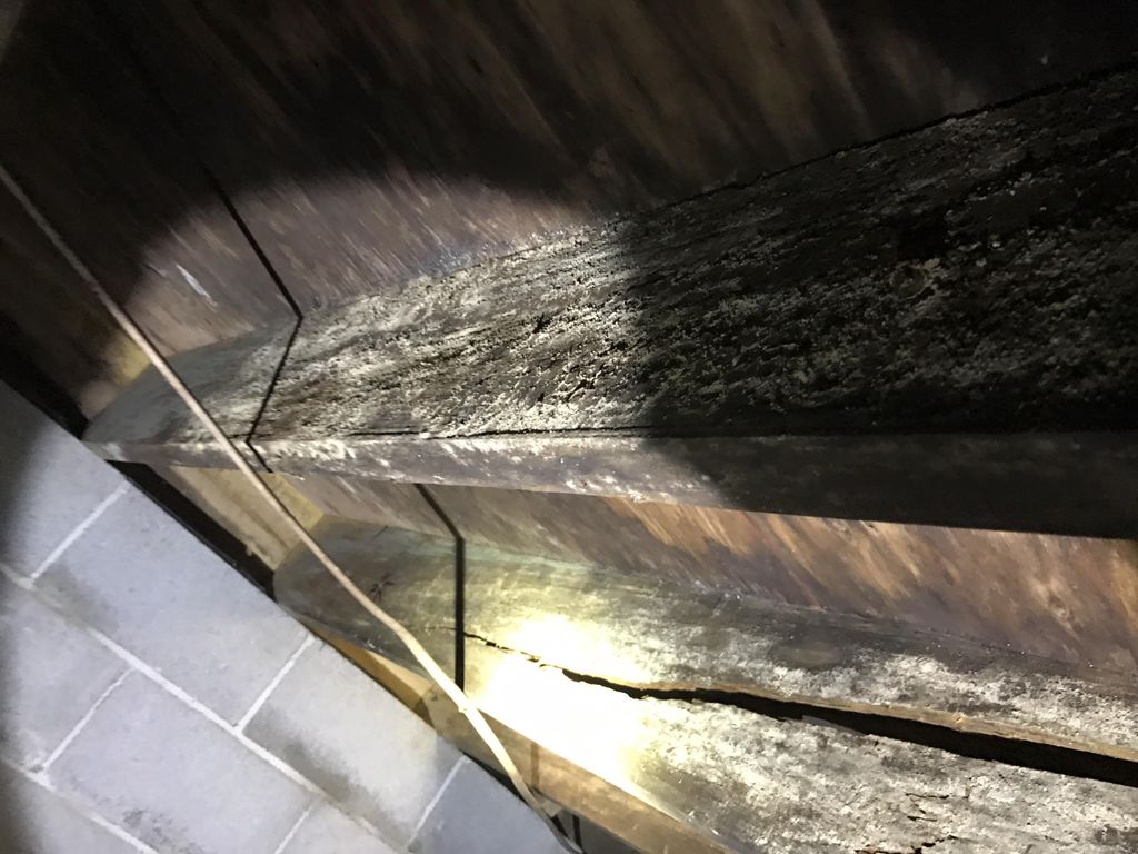 HEAVY MOLD AND DAMAGE 