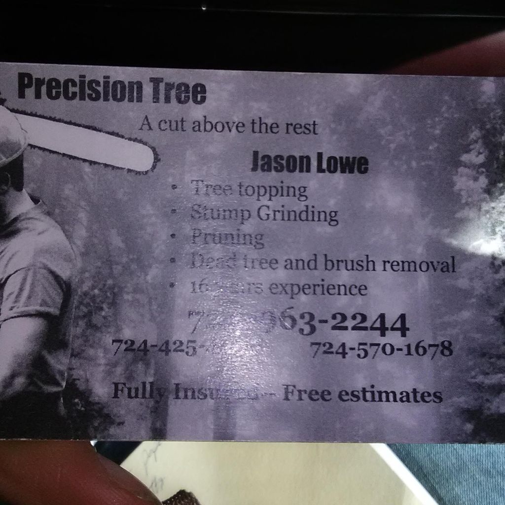 Presicion Tree Services