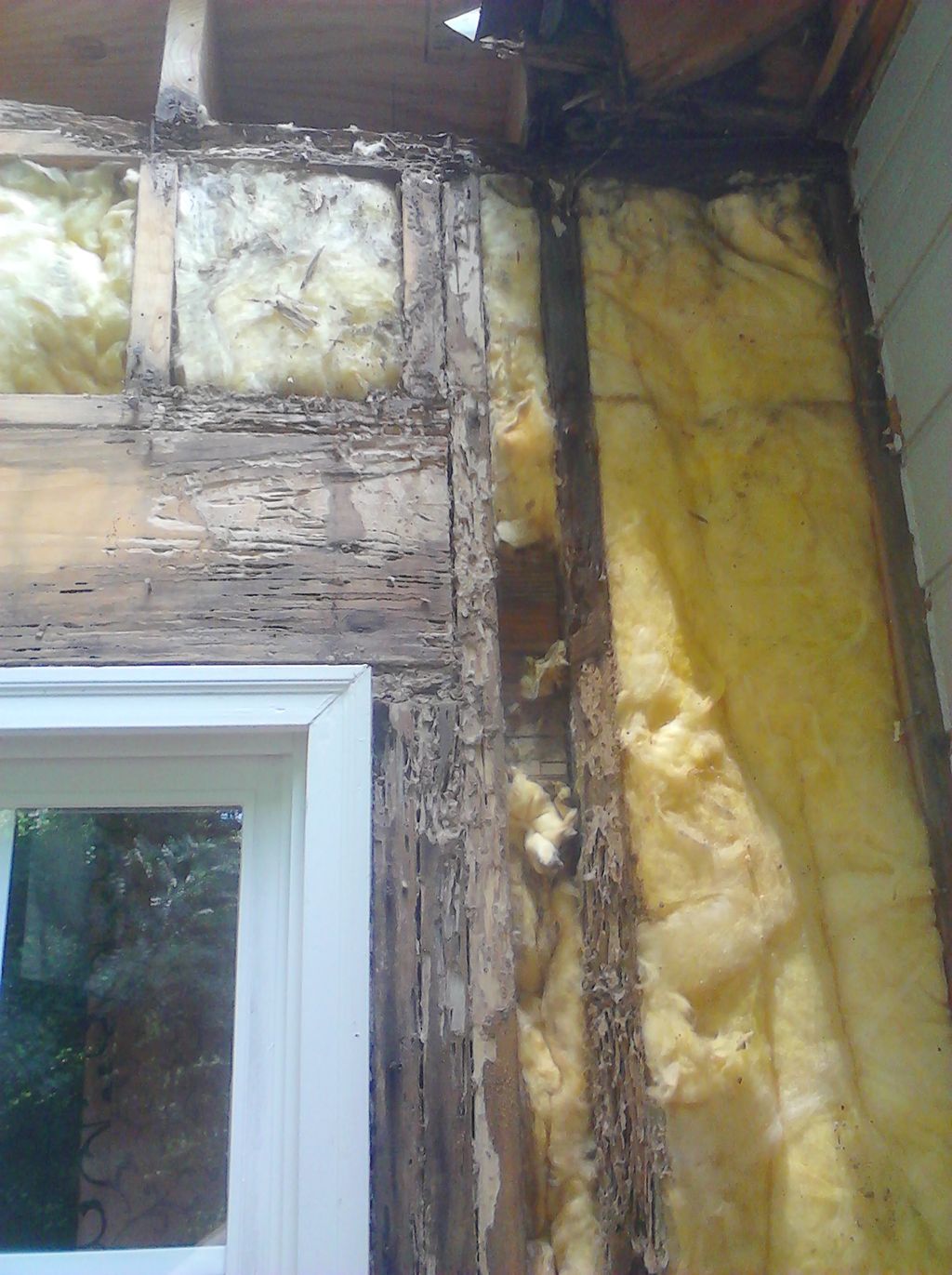 Structural failure due to water & termite damage.