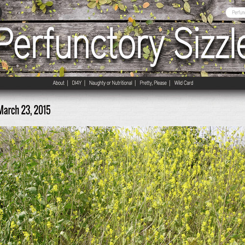 Perfunctory Sizzle is a lifestyle blog written by 