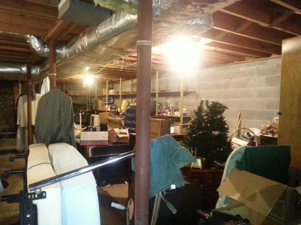 Before we started kleenout d organization