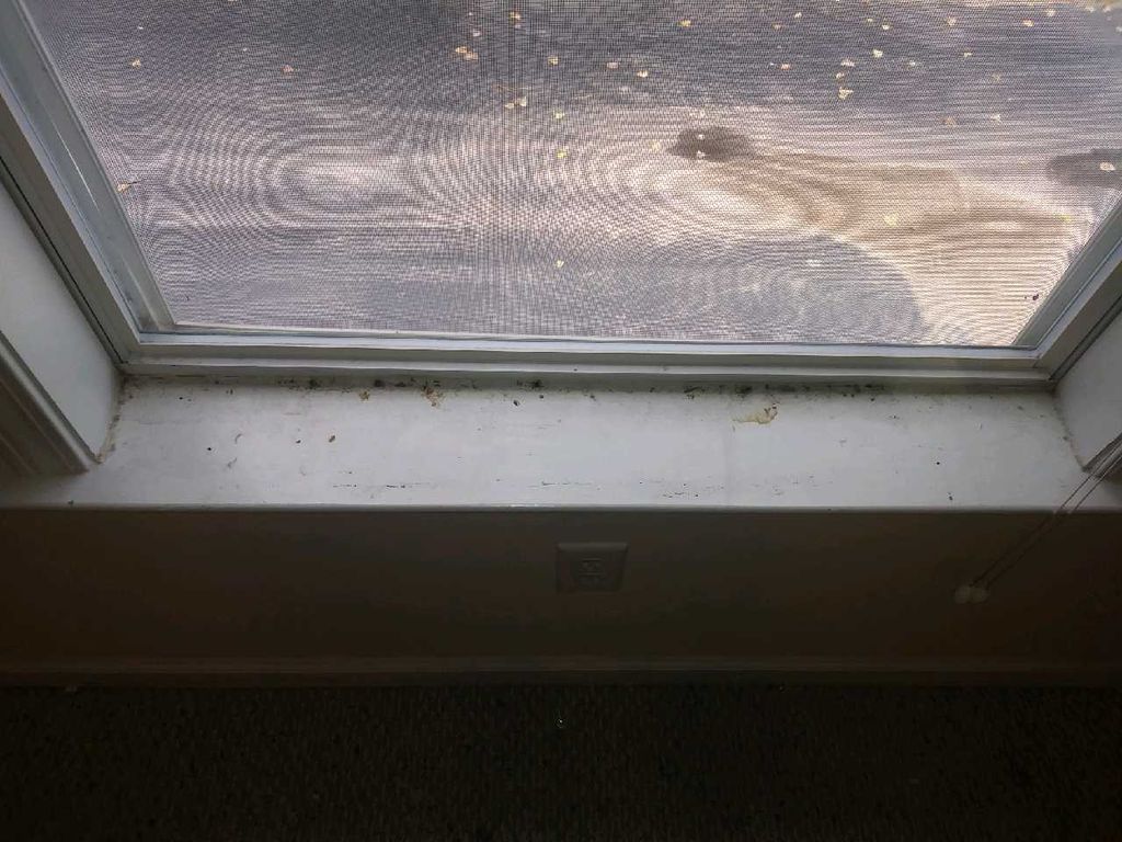 Window sill before 