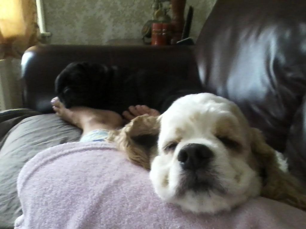 comfy place