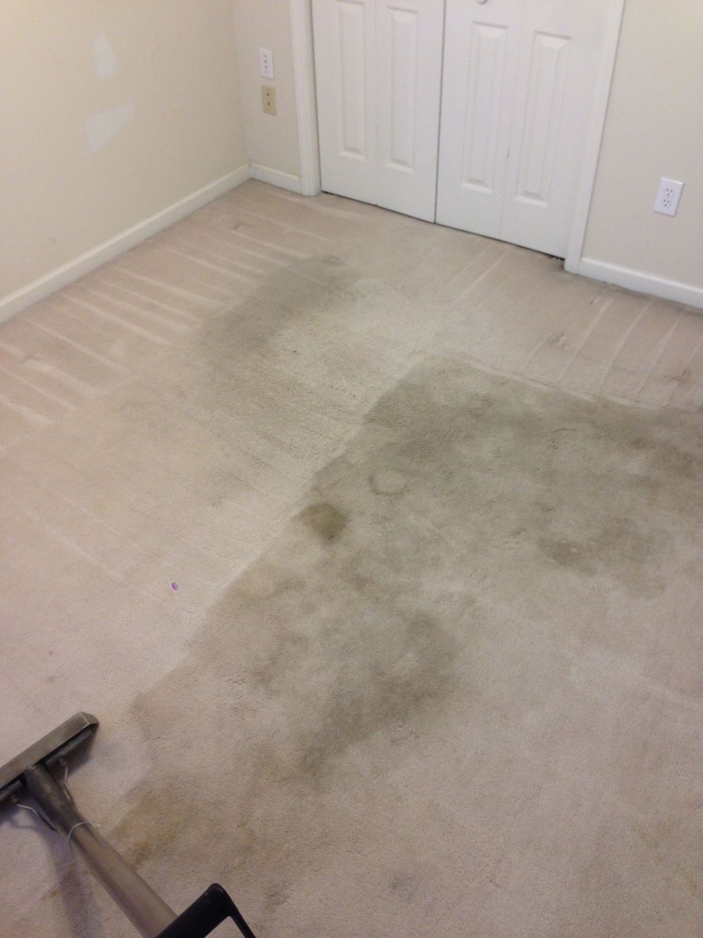 Heavily soiled carpet in a rental property
