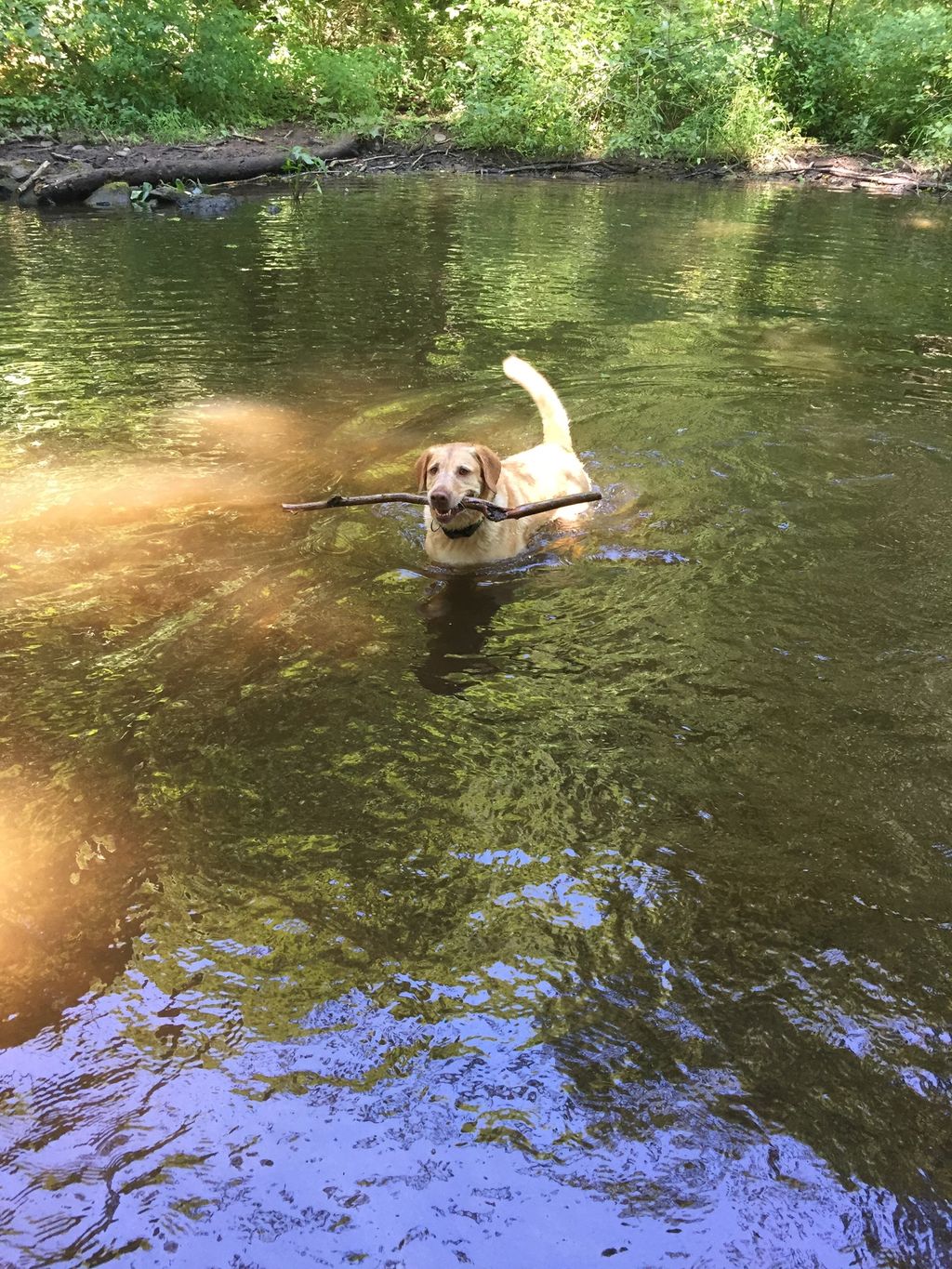 Retrieve and recall 