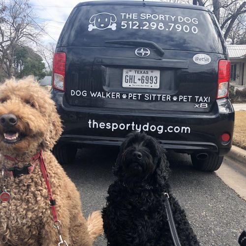 Book The Sporty Dog!
