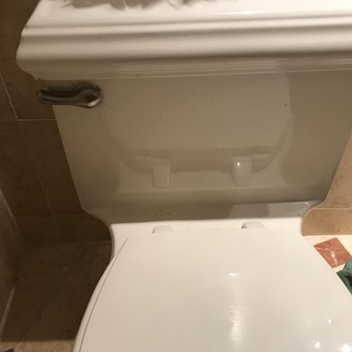 Toilet handle and rebuild 