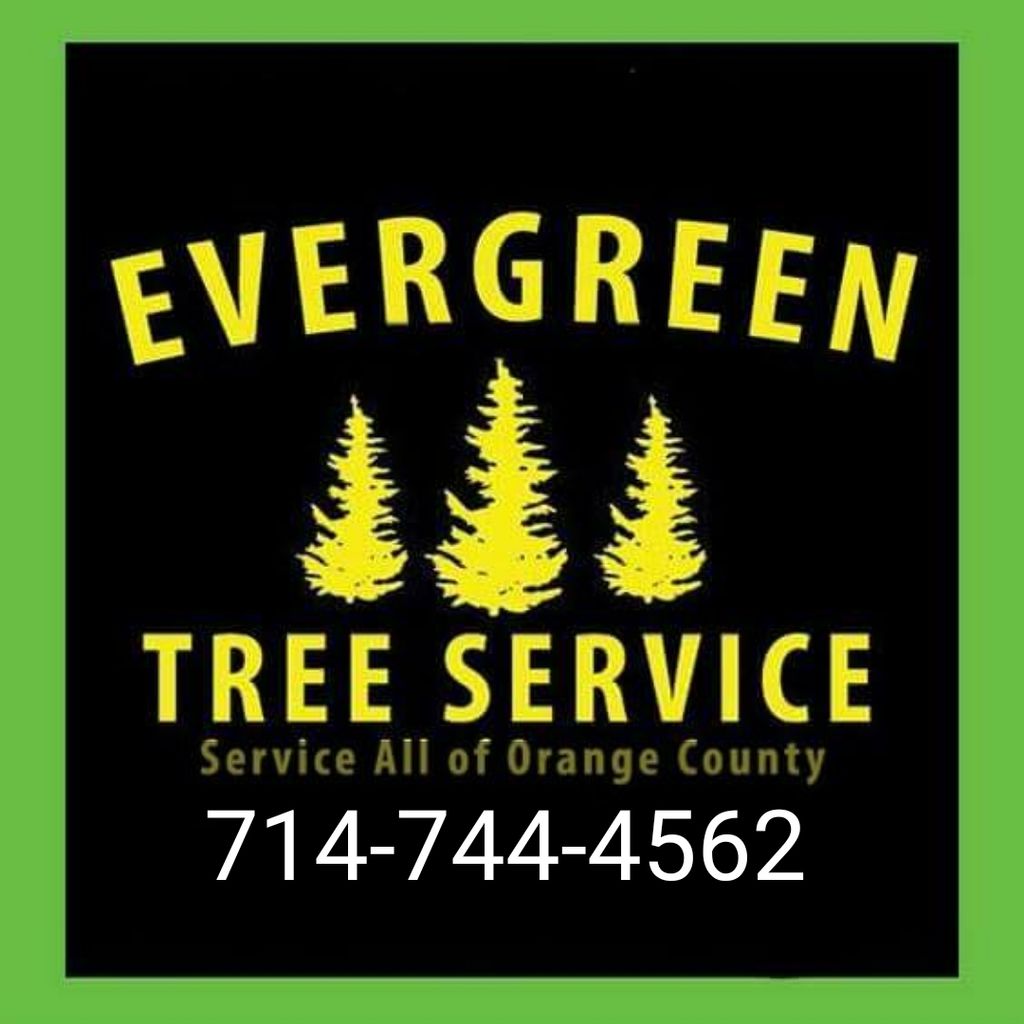 Evergreen Tree Service