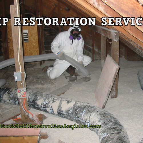 Mold Remediation and Water Damage Restoration