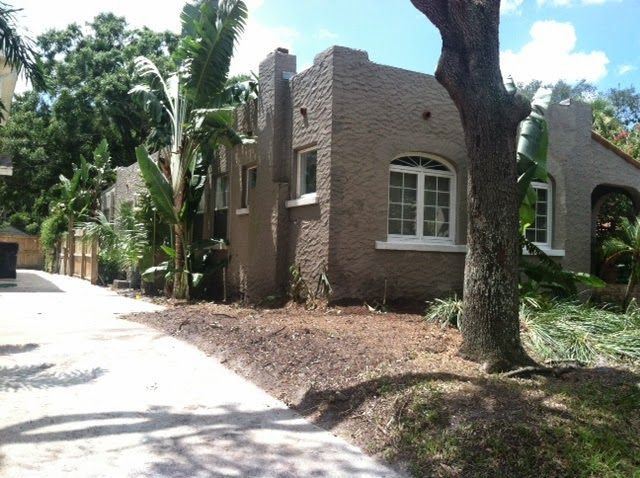 Grand Oak removal (after)