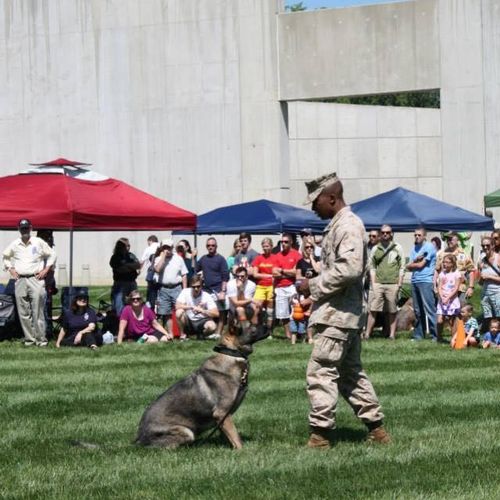 K9 Demonstration at the Marine Corps Museum in Qua