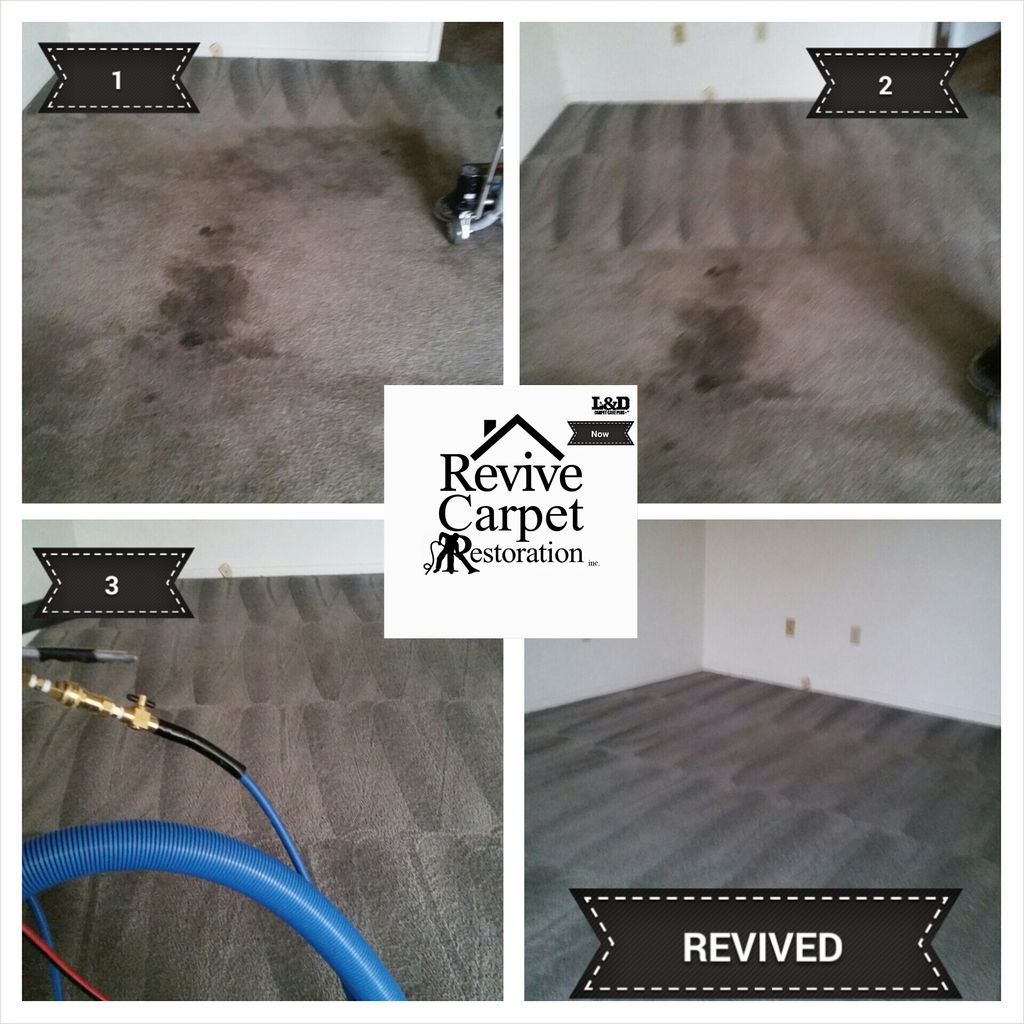 Revive Carpet Restoration