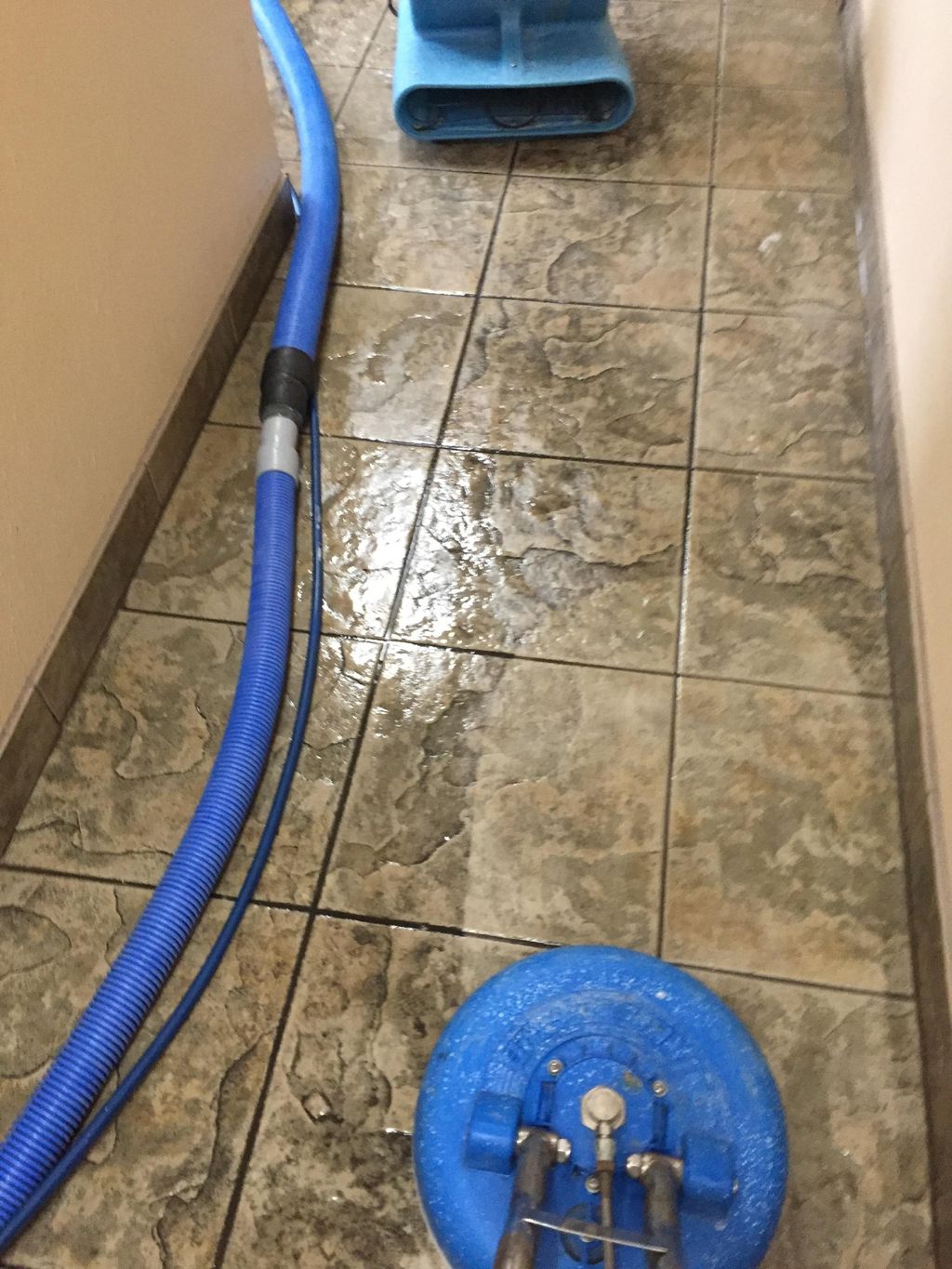 Tile cleaning- it is always dirtier than you think