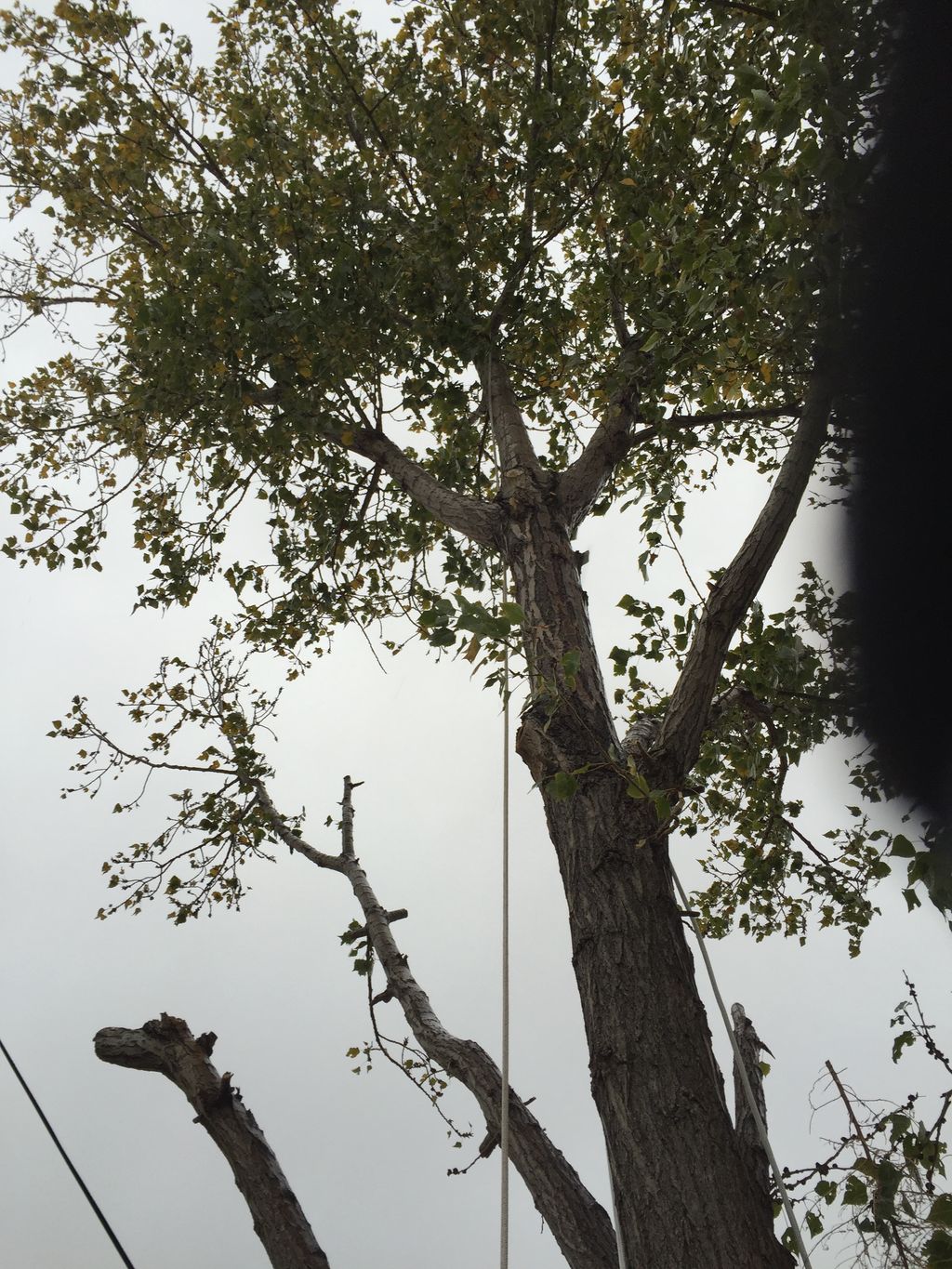 Careful climbing is the only way into this back ya