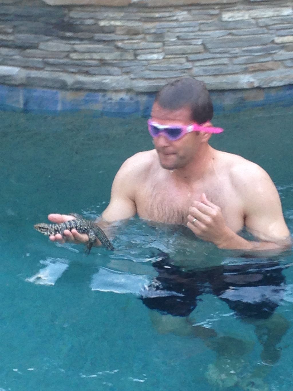 Here's Max catching a lizard in a customers pool, 