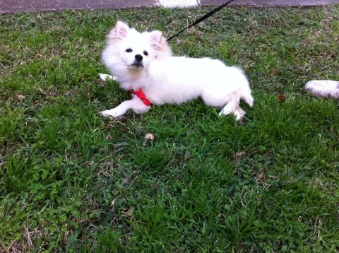 Amy taking a break mid-walk.