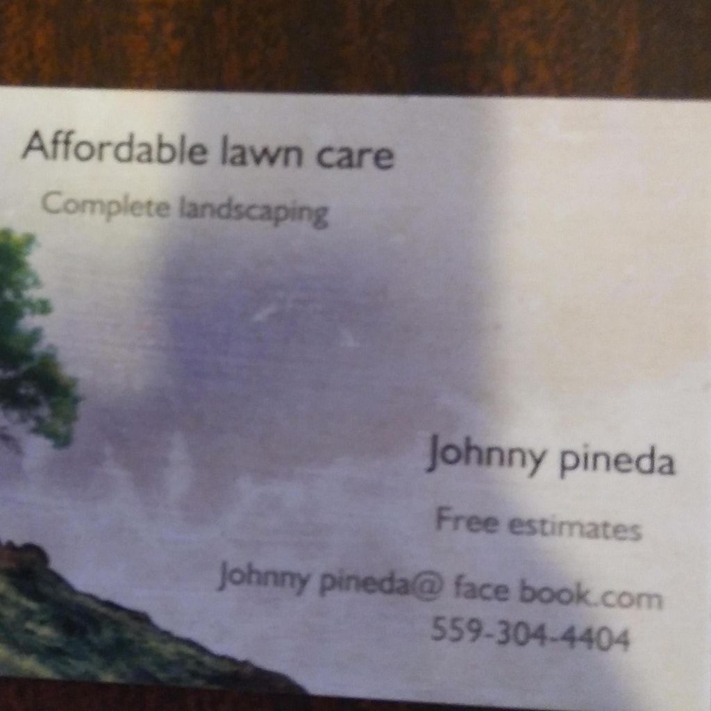 Affordable lawn and tree service