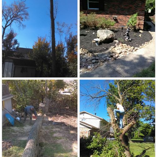 Tree removal to landscaping to mulching and leaf r
