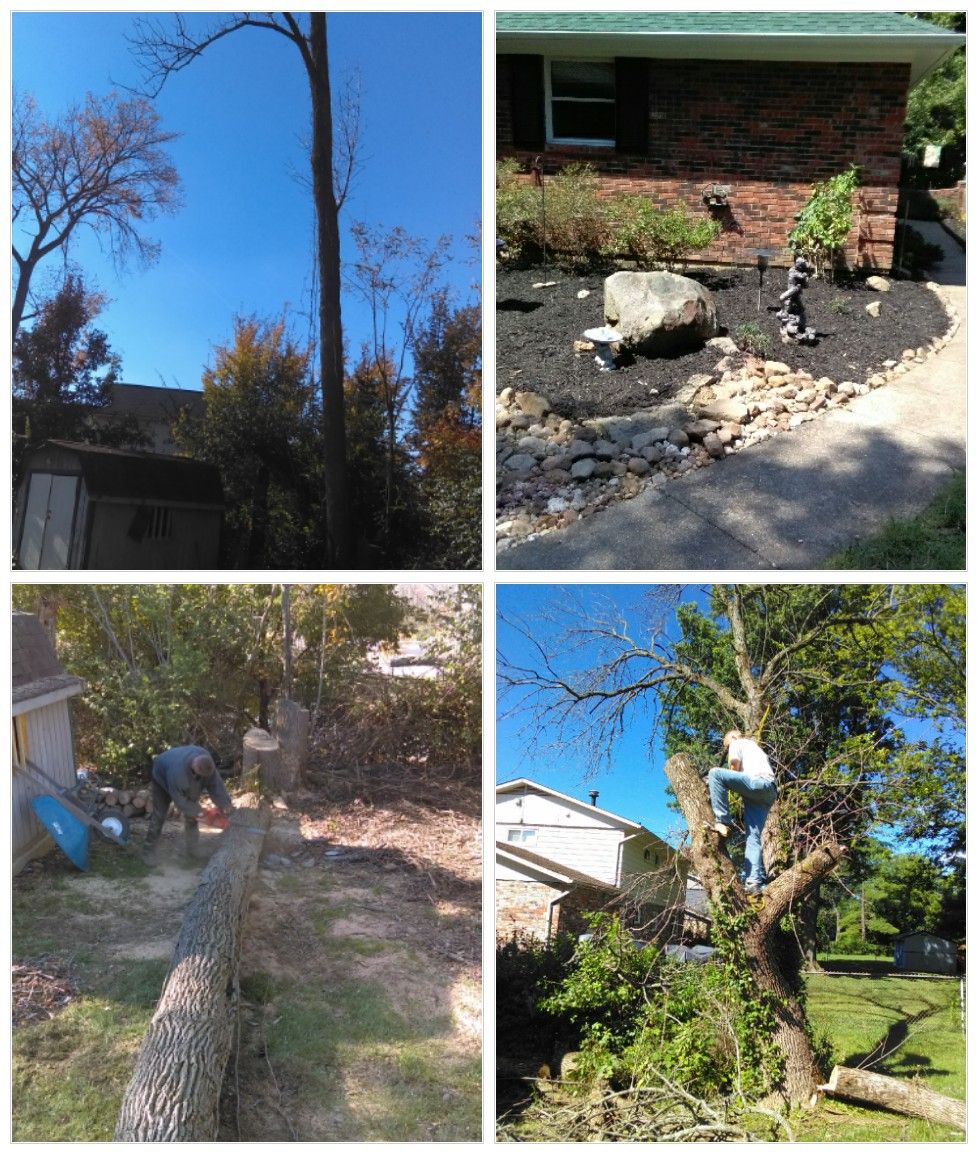 Tree removal to landscaping to mulching and leaf r