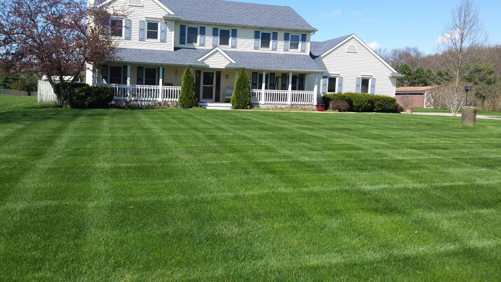 Striped Lawn!
