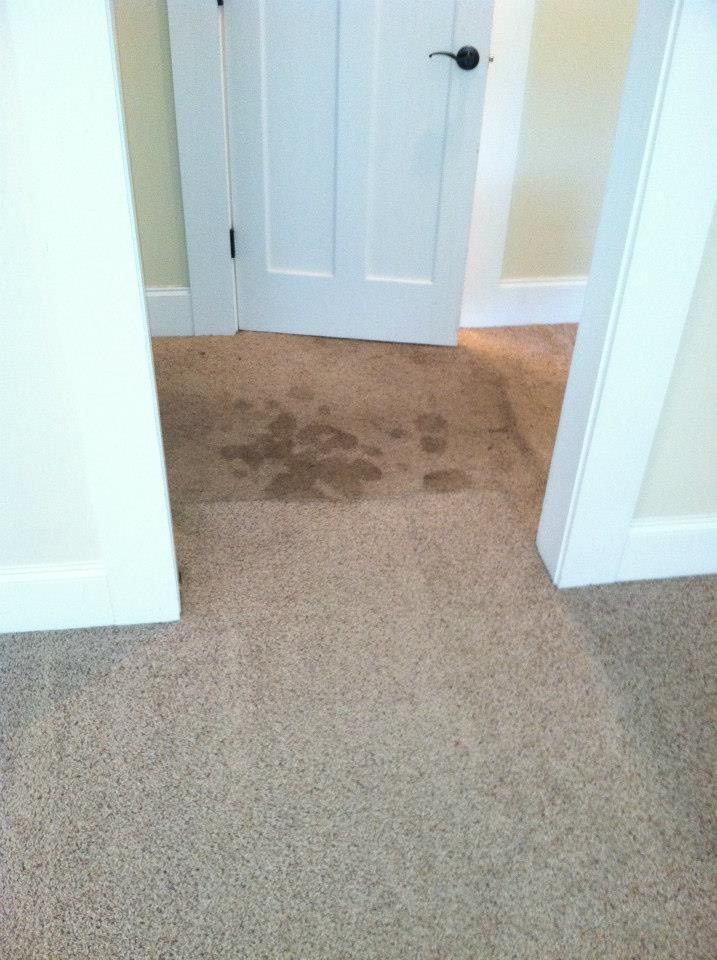 An entry way to a home, showing the before and aft