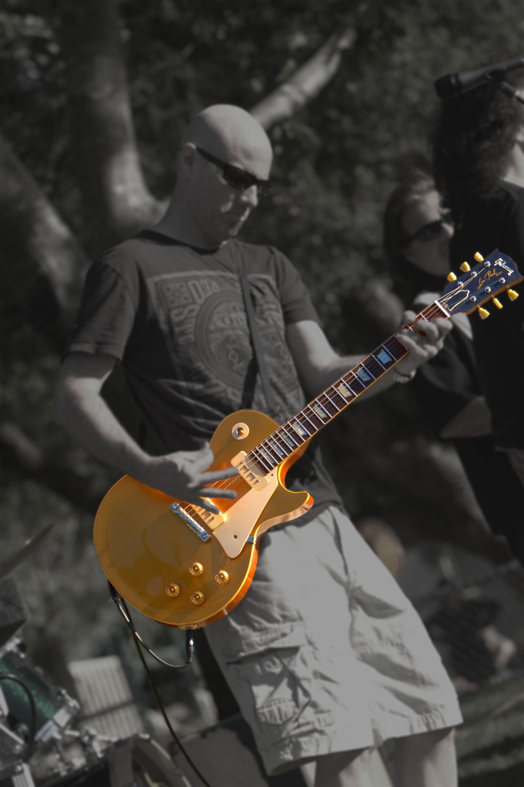 Concert in the park with a hidden celebrity (Marin