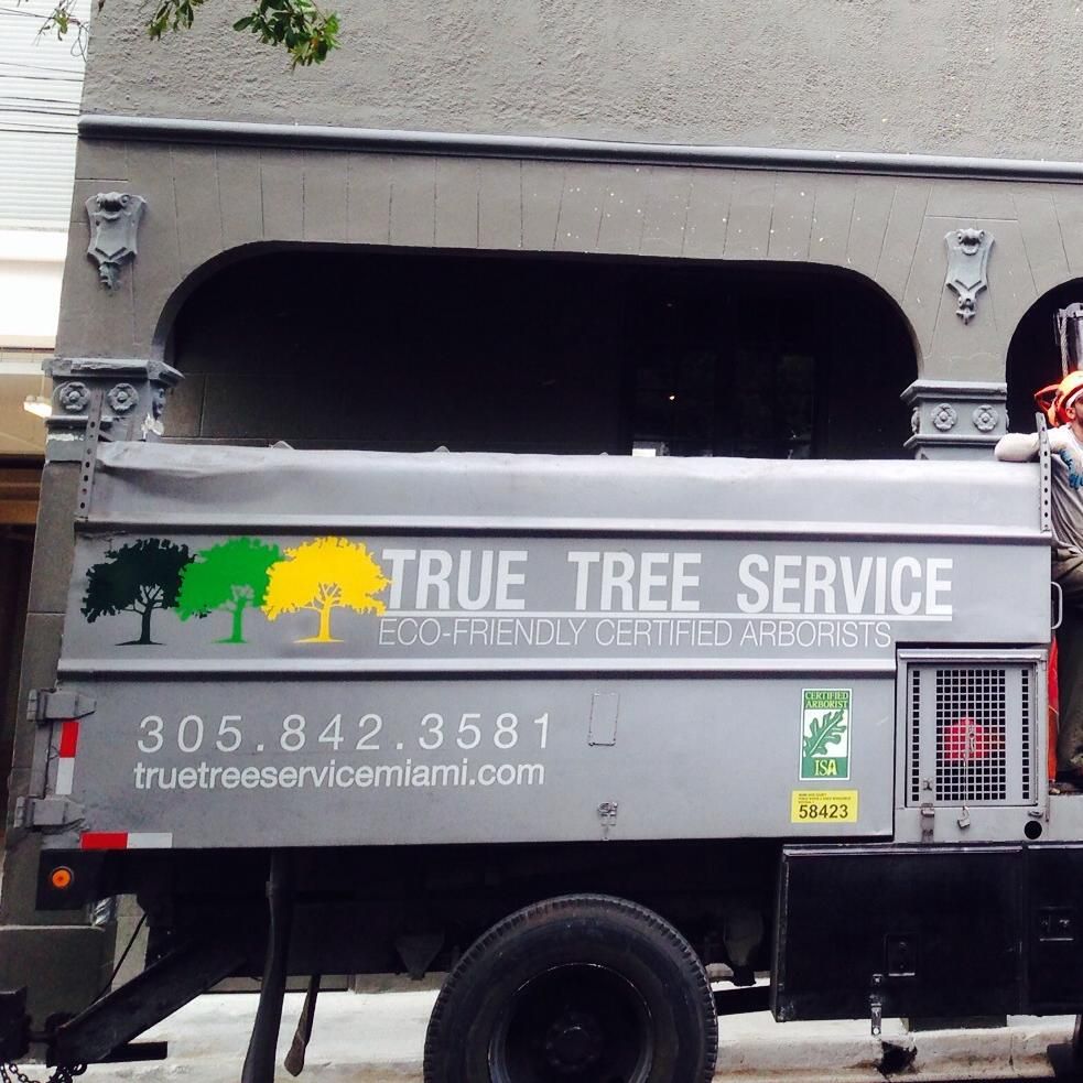True Tree Service