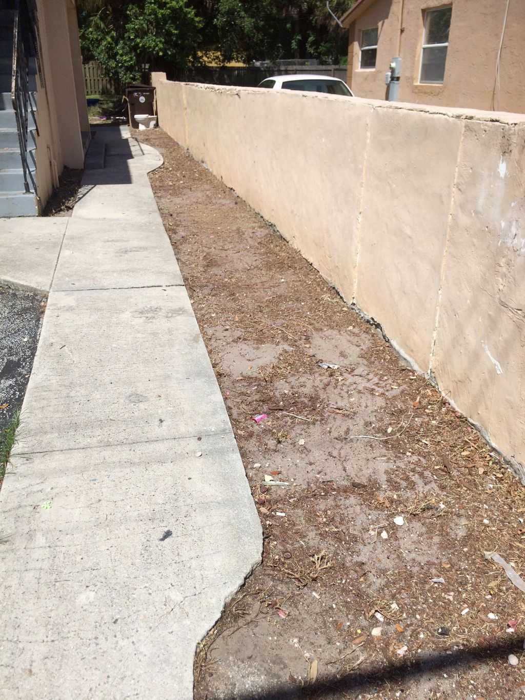 Before: Area was full of weeds and grass,  I spray