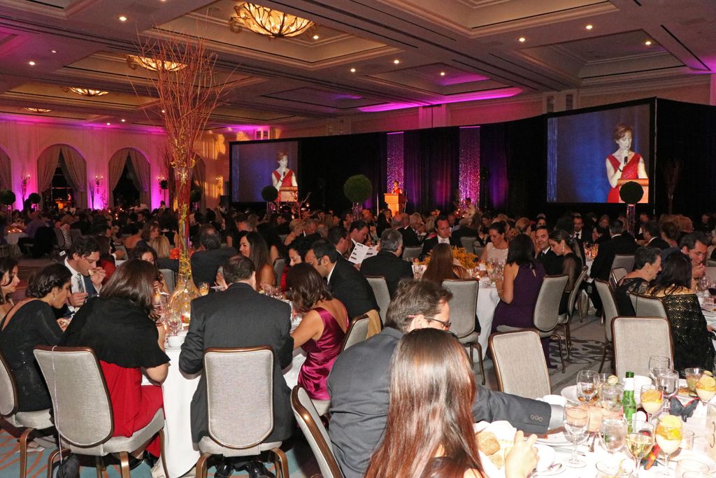 Mariposa Gala Room natural lighting shoot. Somethi