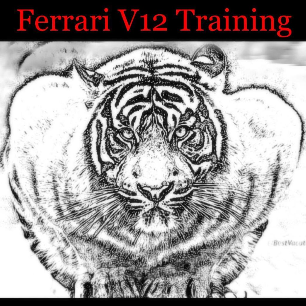 FerrariV12Training