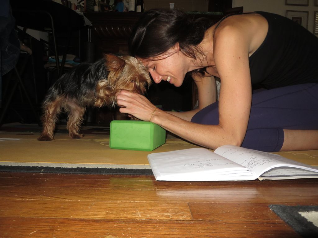 my most faithful student, Bene.