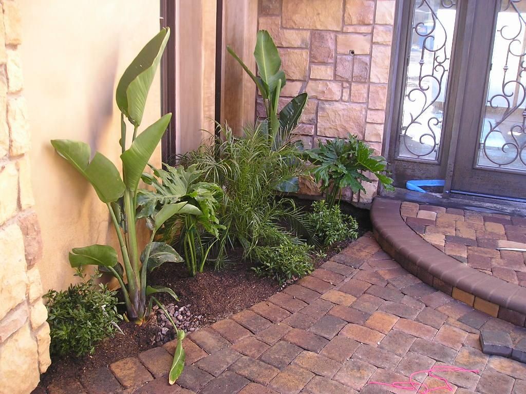 Courtyard Pavers & Landscape