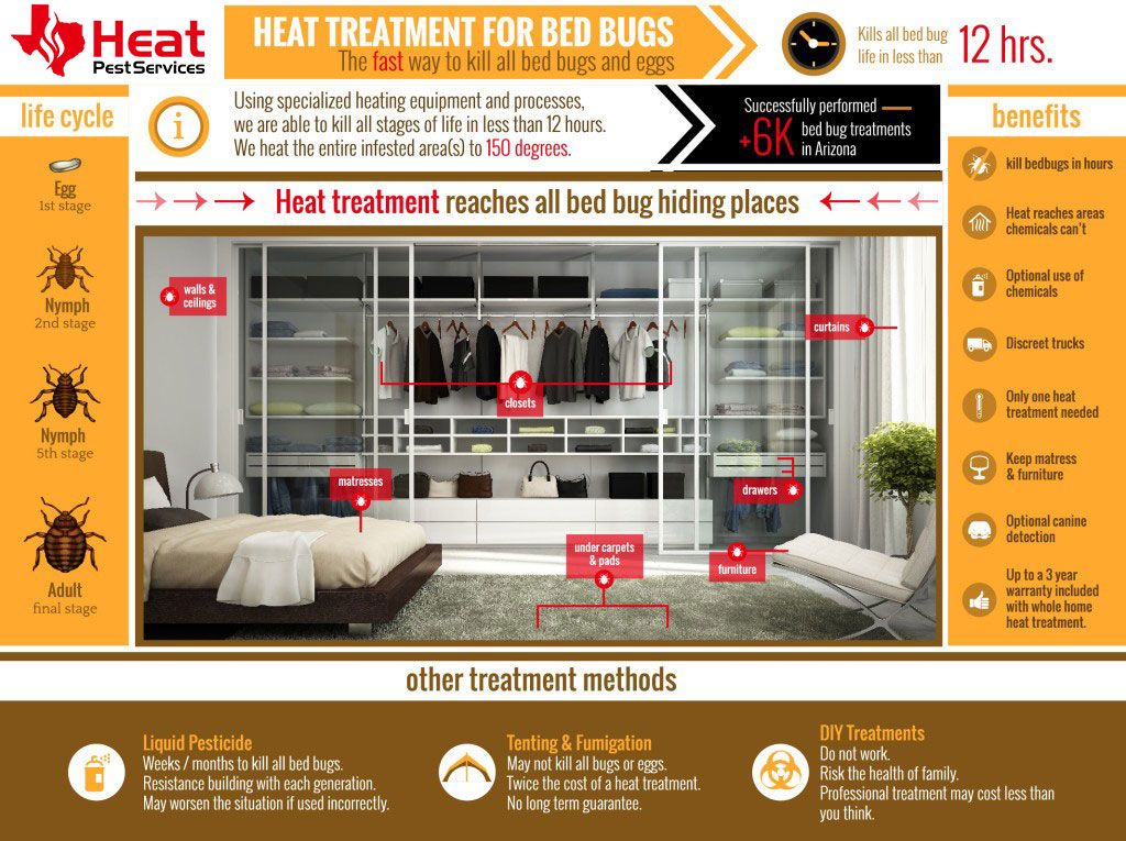 How our bed bug heat treatment works and why it is