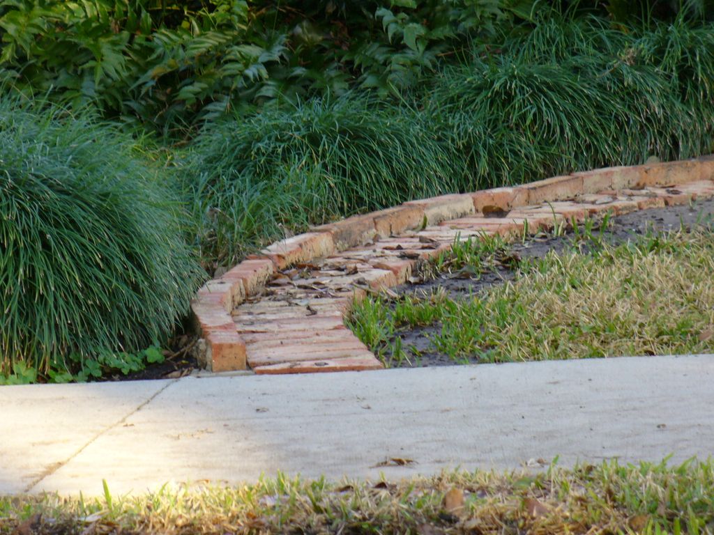 Creative boarders can enhance your garden with our