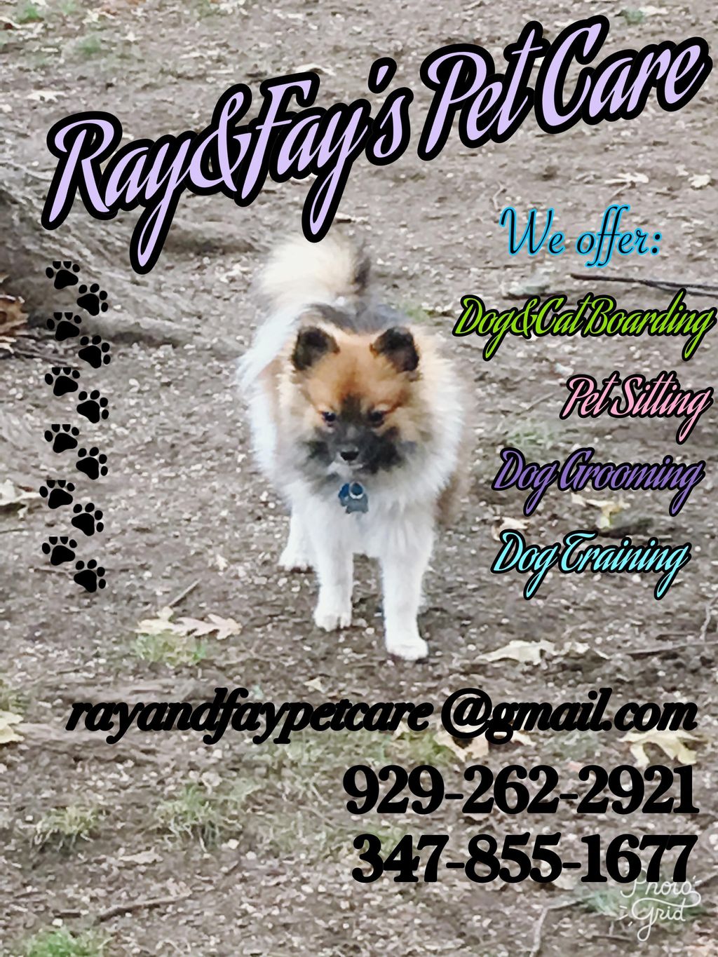 Ray&Fay's Pet Care