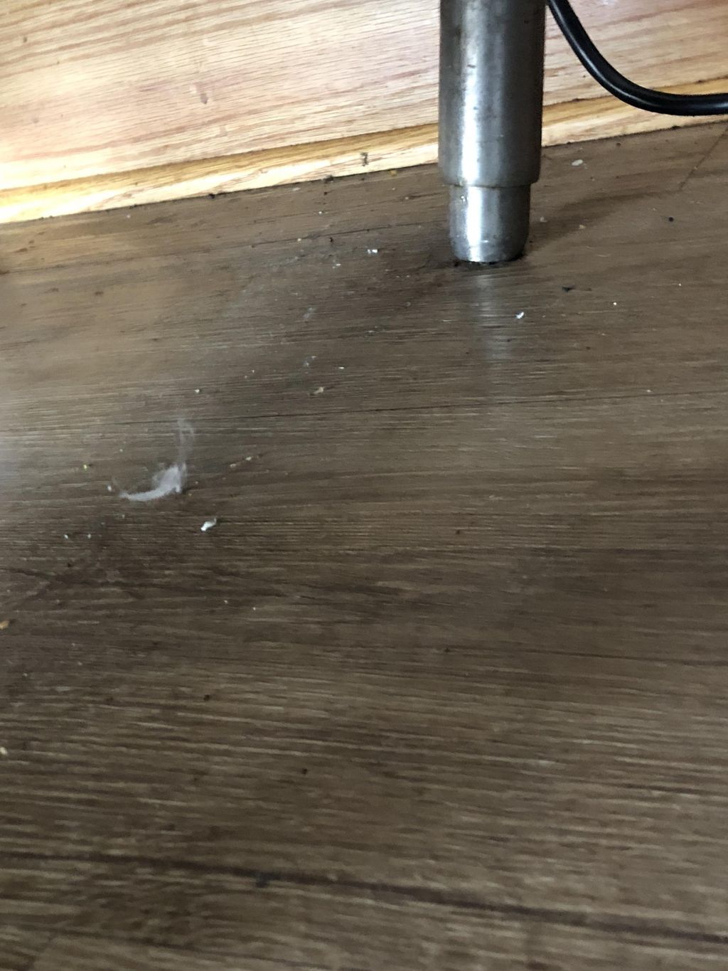 Dust under appliances no one ever go trough this w