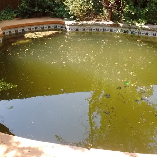 Green pool before restoration.