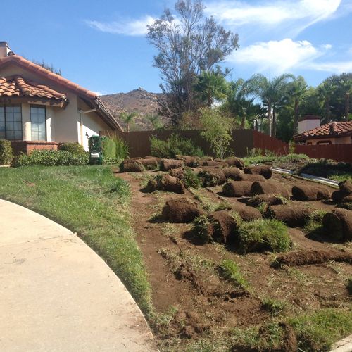 Sod remove front and backyard