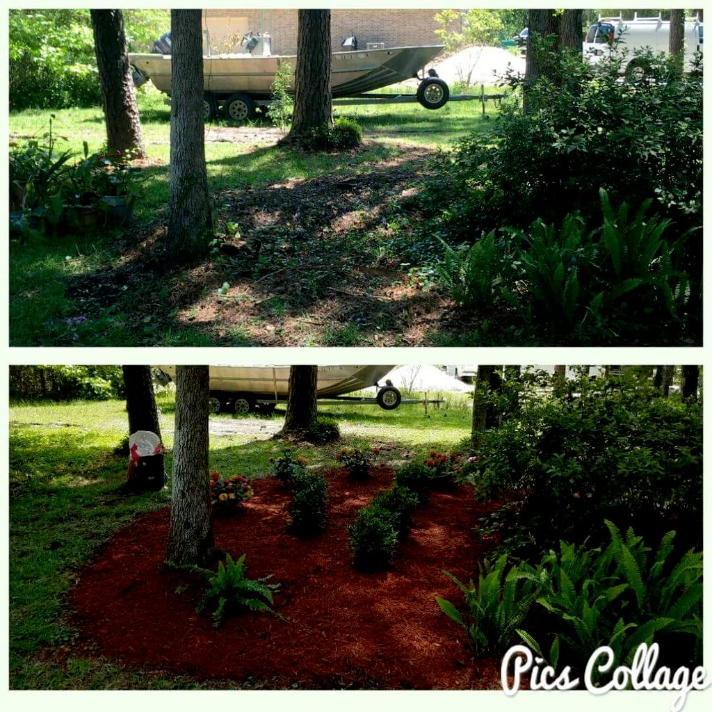 Arbor Pro Tree and Lawn Maintenance