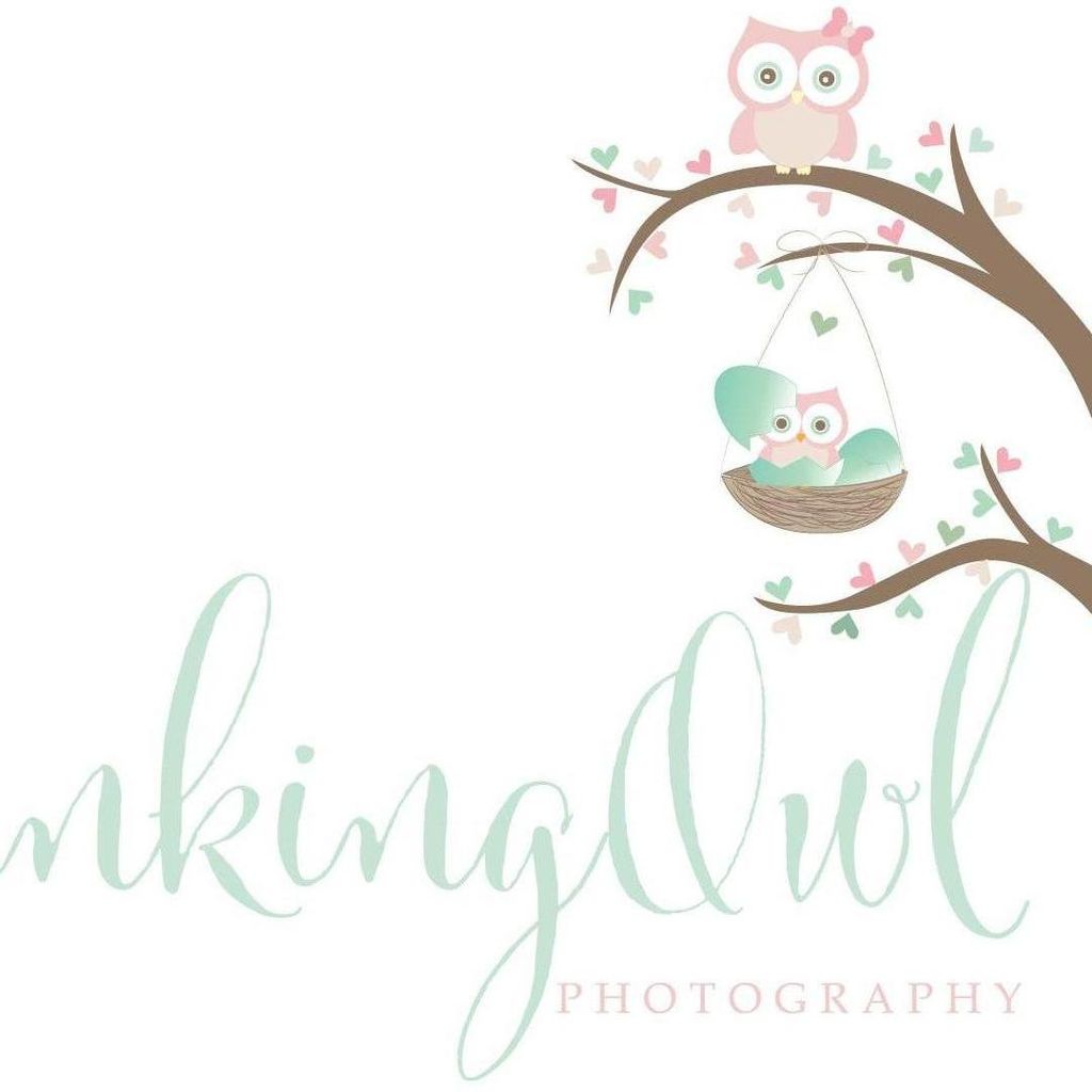 Winking Owl Photography