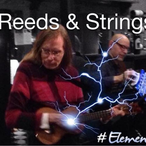 Reeds and Strings Duo - concertina and ukulele