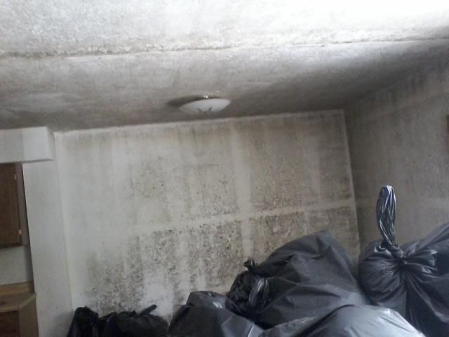 You never know what the inside of the apartment ne