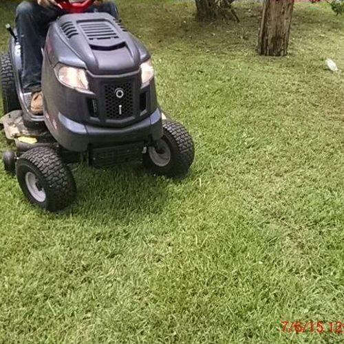 Lawn care, trimming, and small tree removal.