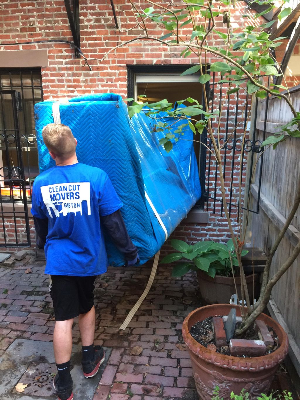 Just another couch through a window