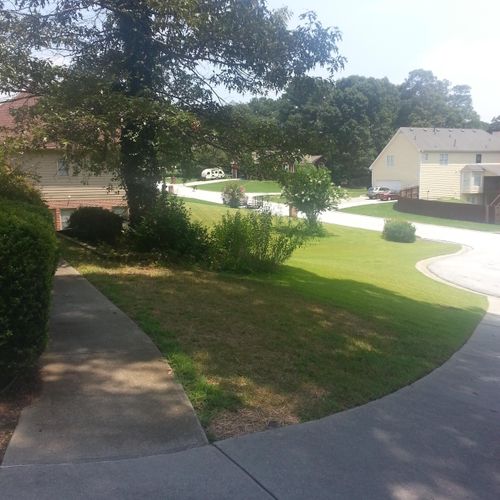 Landscaping and lawn maintenance!